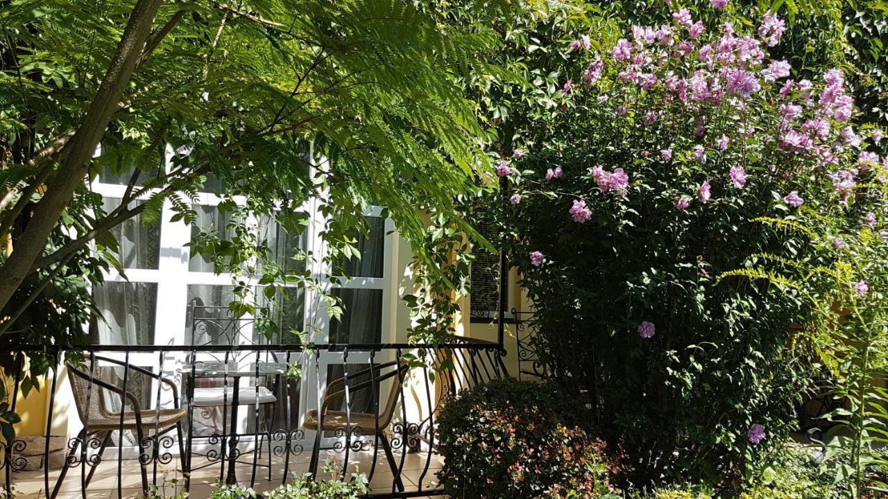 帕诺拉玛潘泽欧住宿加早餐旅馆 埃格尔 外观 照片