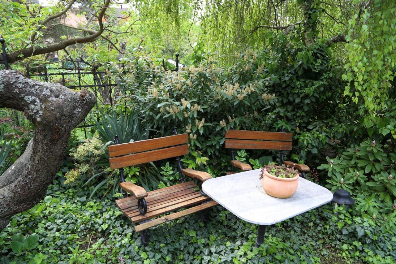 帕诺拉玛潘泽欧住宿加早餐旅馆 埃格尔 外观 照片